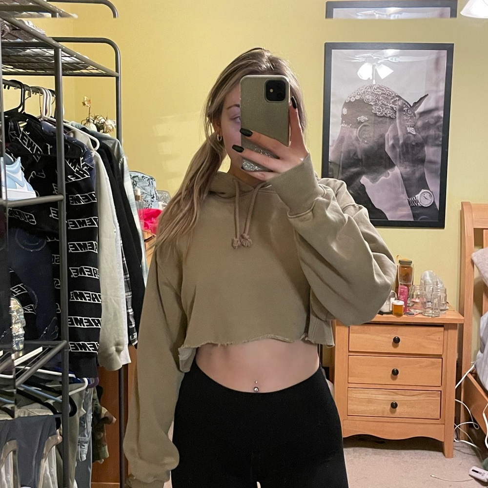 Aritzia hoodie